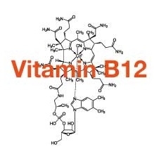 vitamin B12