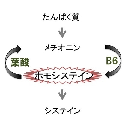 不全薬を超えるコビッド19の治療の進歩